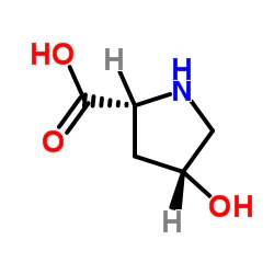 Cis-4-Hydroxy-D-proline CAS NO.2584-71-6
