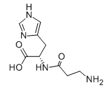 L-Carnosine CAS NO.:305-84-0